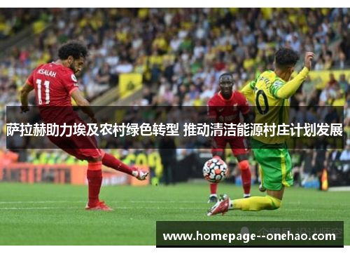 萨拉赫助力埃及农村绿色转型 推动清洁能源村庄计划发展