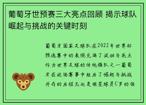 葡萄牙世预赛三大亮点回顾 揭示球队崛起与挑战的关键时刻