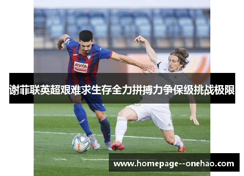 谢菲联英超艰难求生存全力拼搏力争保级挑战极限