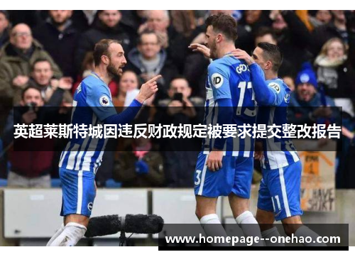 英超莱斯特城因违反财政规定被要求提交整改报告